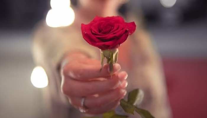 757814-rose-day