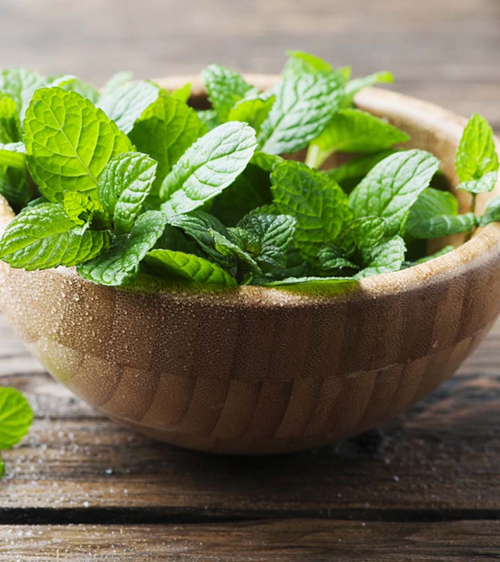 Peppermint-Pudina-Benefits-and-Side-Effects-in-Hindi