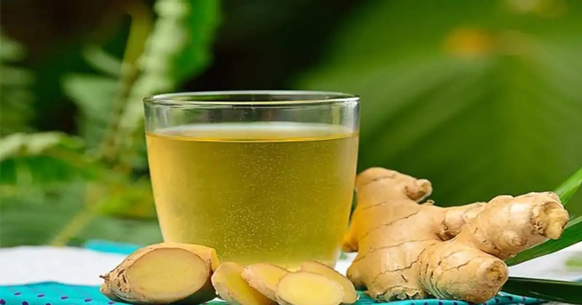 ginger-jpg_1200x630xt