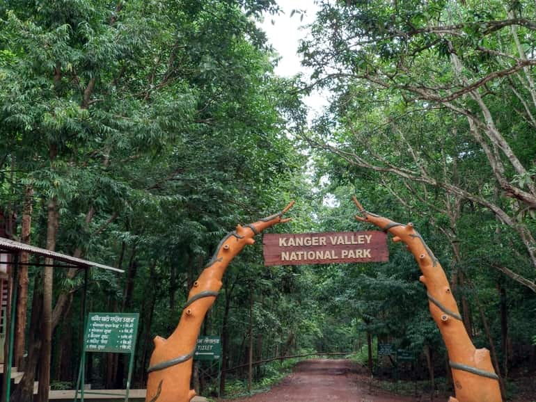 N-Benimadhab-Choudhury-f.