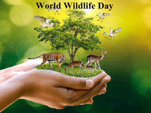 World-Wildlife-Day-Quotes