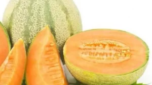 muskmelon_1525846727_749x421