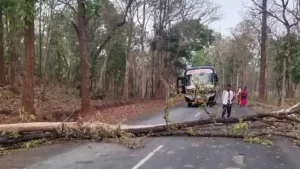 naxalism_in_chhattisgarh_the_road_was_closed_1649842144