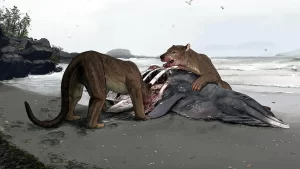 denny_navarra-fig-5-full-sixteen_nine