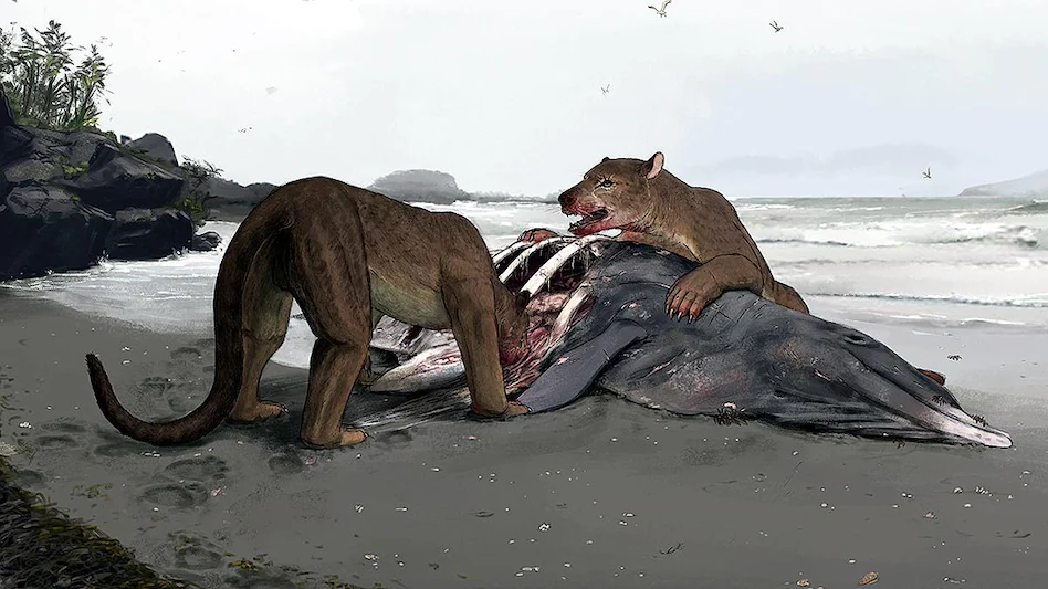 denny_navarra-fig-5-full-sixteen_nine