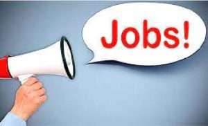 202341049541000017202341049541000007