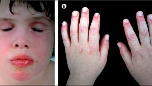 WhatsApp Image 2024-02-20 at 2.58.22 PM