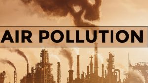 WhatsApp Image 2024-03-20 at 12.29.23 PM