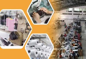 WhatsApp Image 2024-08-09 at 11.57.53 AM