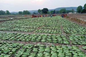 WhatsApp Image 2024-08-22 at 11.38.07 AM