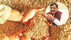 WhatsApp Image 2024-09-02 at 11.45.35 AM